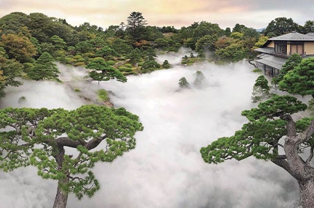 (JR広島駅発着)3万輪の牡丹遊園と足立美術館・島根日帰り わずか8日間だけの期間限定企画!GWに行く!1